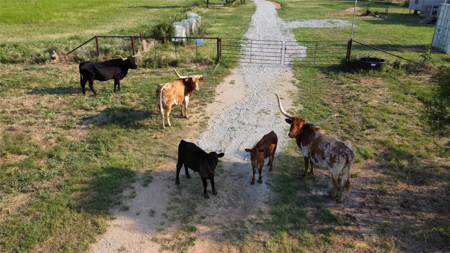 1951 North Road, Olney, TX 76374 - Image #3