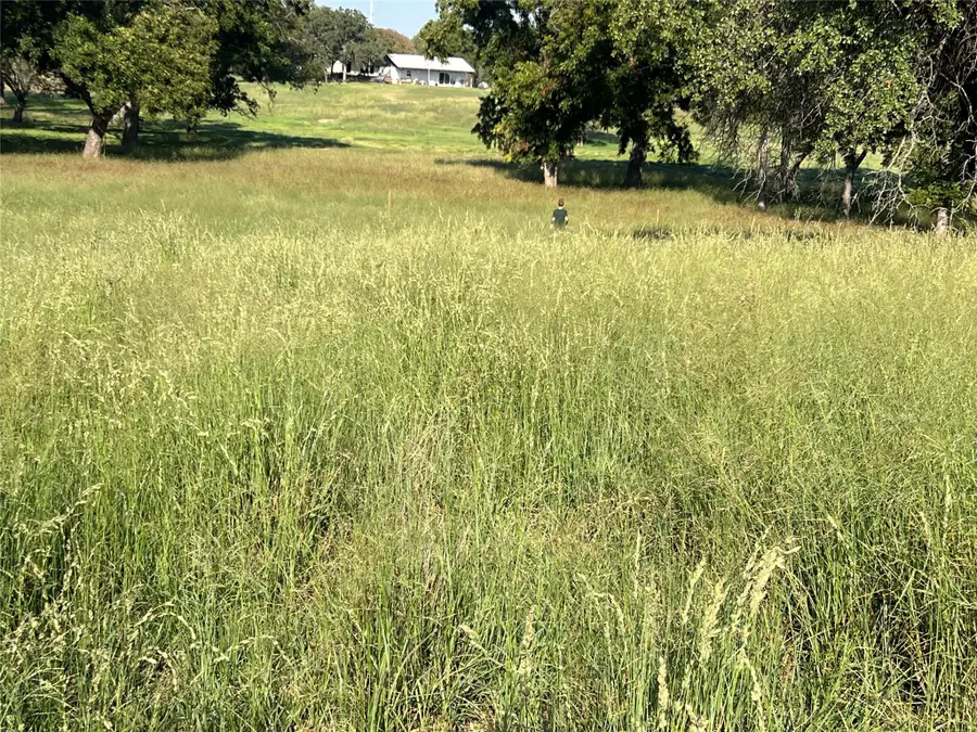 601 County Road 443, De Leon, TX 76444 - Image #2