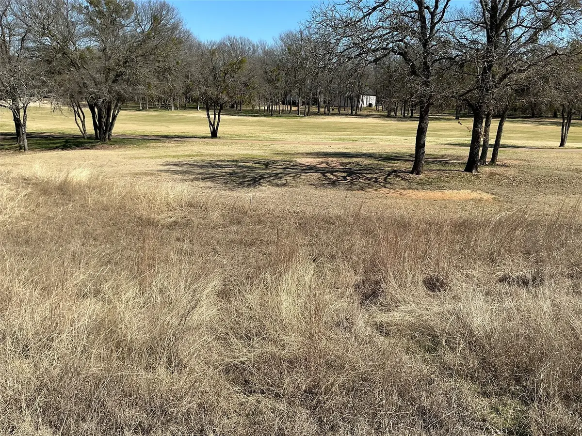 7038 Golf Drive, Whitney, TX 76692 - #1