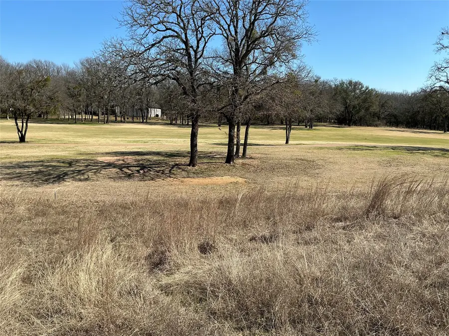 7038 Golf Drive, Whitney, TX 76692 - #2