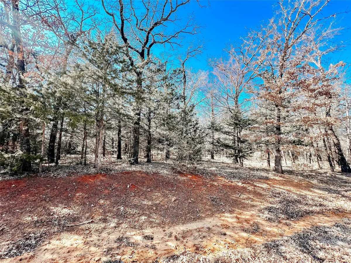 Lot 9 Castle Pines Circle, Gordonville, TX 76245 - Image #1