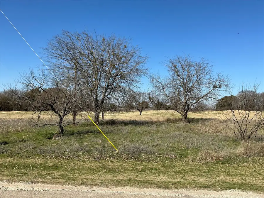 27215 Meadowmore Drive, Whitney, TX 76692 - #3
