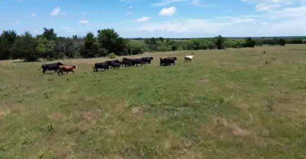 7.5 acres Keyes Road, Sherman, TX 75092