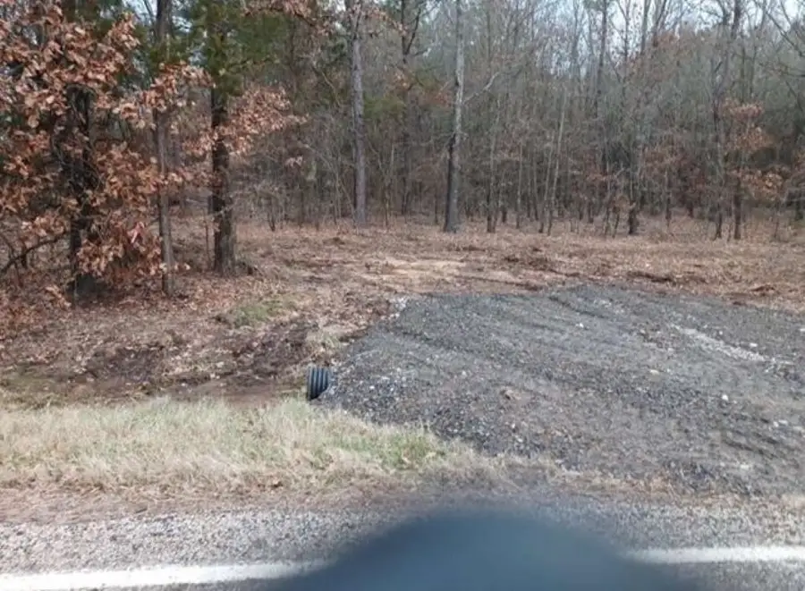 12744 Fm44, Avery, TX 75554 - Image #3