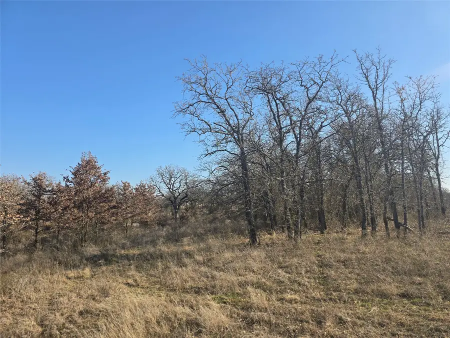 1017 Vh Ranch Road, Poolville, TX 76487 - Image #2