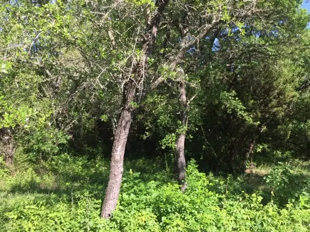 8513 Retreat Boulevard, Cleburne, TX 76033 - Image #2