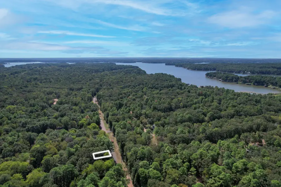 TBD Angelina, Mount Vernon, TX 75457 - Image #2