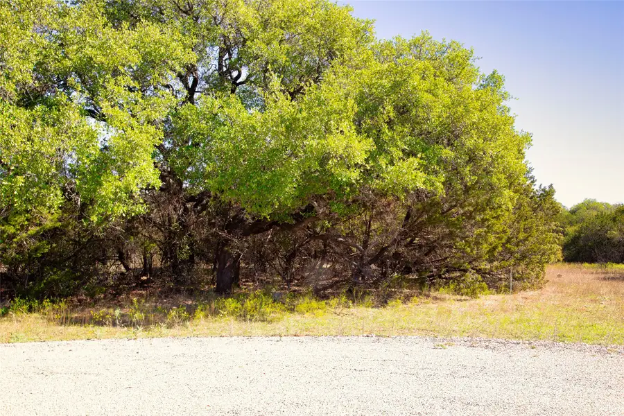 Lot 100 Dollar Pt Court, Mineral Wells, TX 76067 - Image #2
