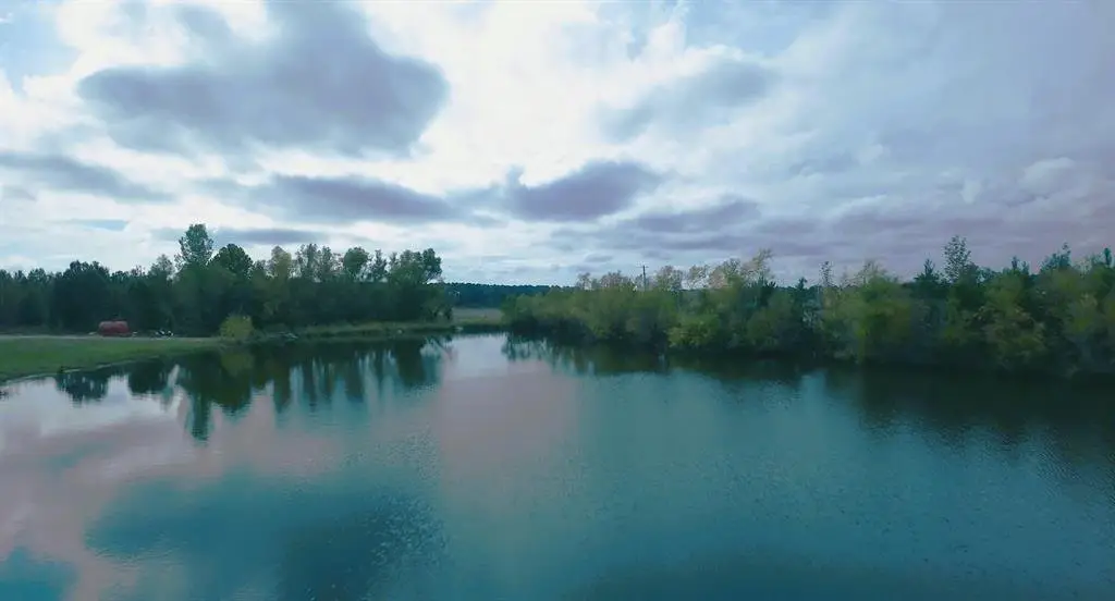 92ac County Rd 4171, Maud, TX 75567 - Image #1