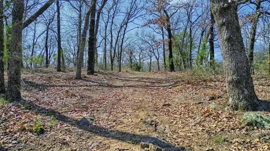 278 Neely Trail, Gainesville, TX 76240 - Image #2