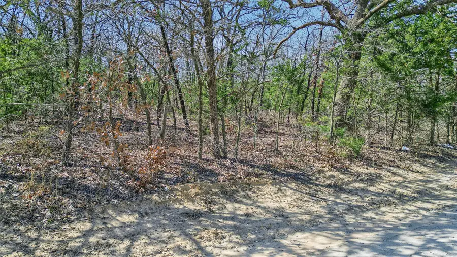 278 Neely Trail, Gainesville, TX 76240 - Image #3