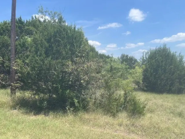 39333 Cedar Trail, Whitney, TX 76692 - #2