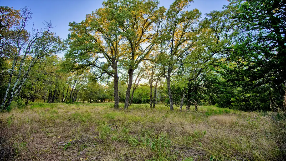3246 Fm-1806, Montague, TX 76251 - Image #1