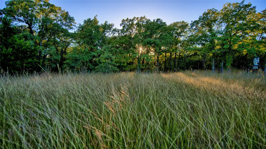 3246 Fm-1806, Montague, TX 76251 - Image #2