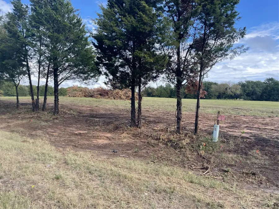 TBD Fm-2029, Telephone, TX 75488 - Image #3