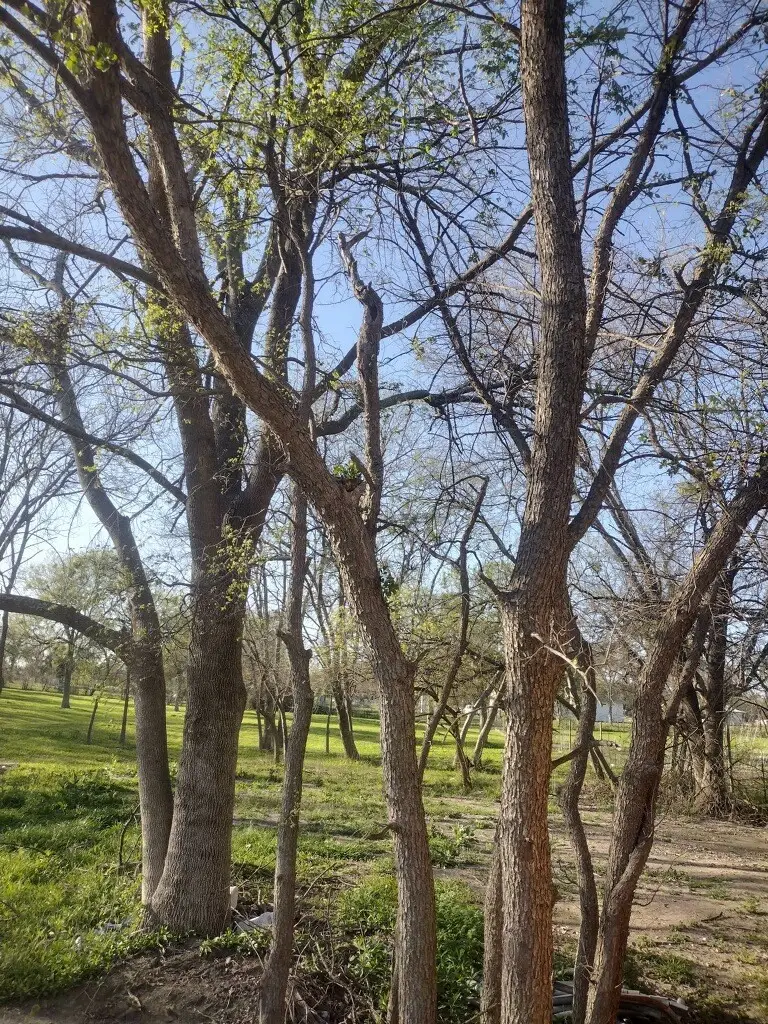 10024 Nw Cr 150, Ennis, TX 75119 - Image #3