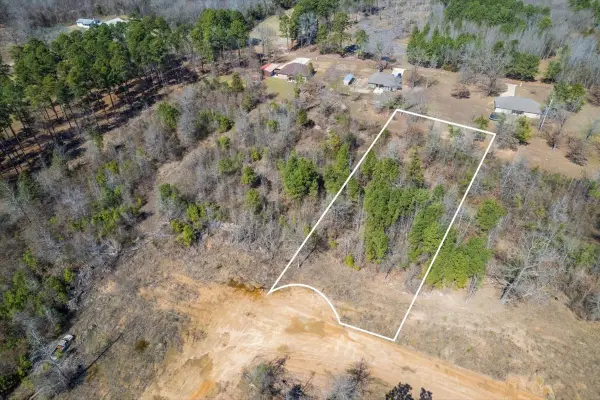 Lot 5 Piney Lane, Pittsburg, TX 75686