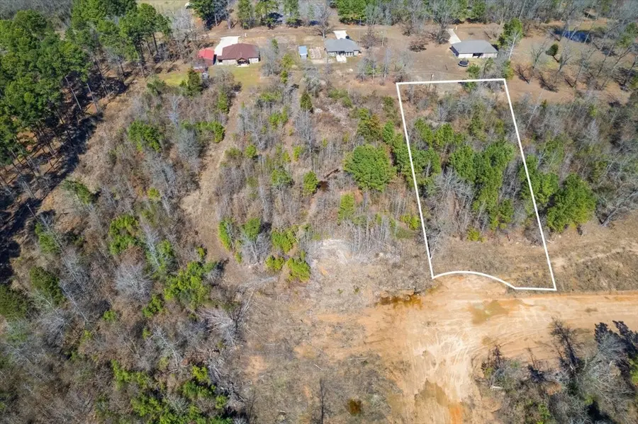 Lot 5 Piney Lane, Pittsburg, TX 75686 - Image #3