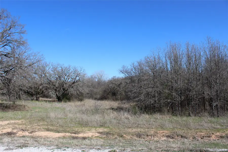 286 Oak Shadow Lane, Montague, TX 76251 - Image #2