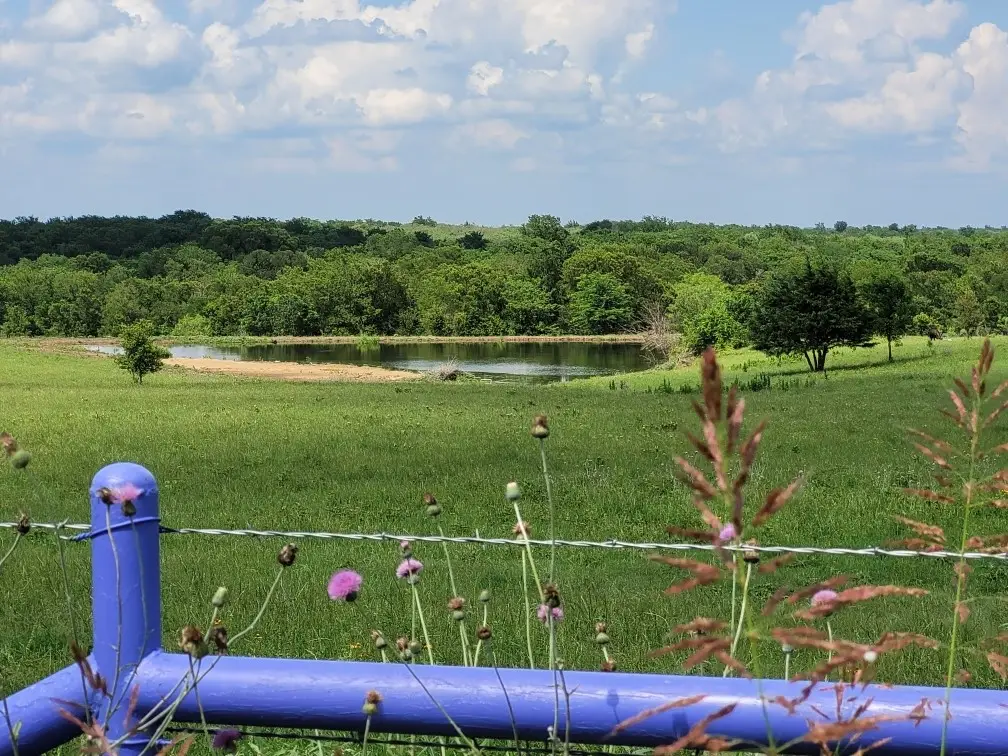 TBD County Road 212, Coolidge, TX 76635 - Image #1