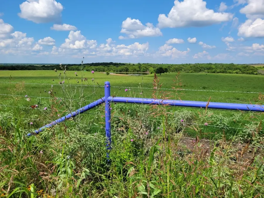 TBD County Road 212, Coolidge, TX 76635 - Image #2