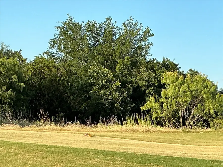 16021 Faircrest Drive, Whitney, TX 76692 - #2