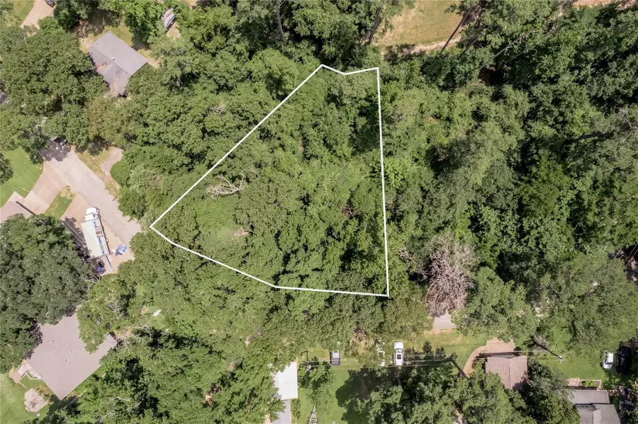 225 Dailey Road, Grapeland, TX 75844 - Image #2