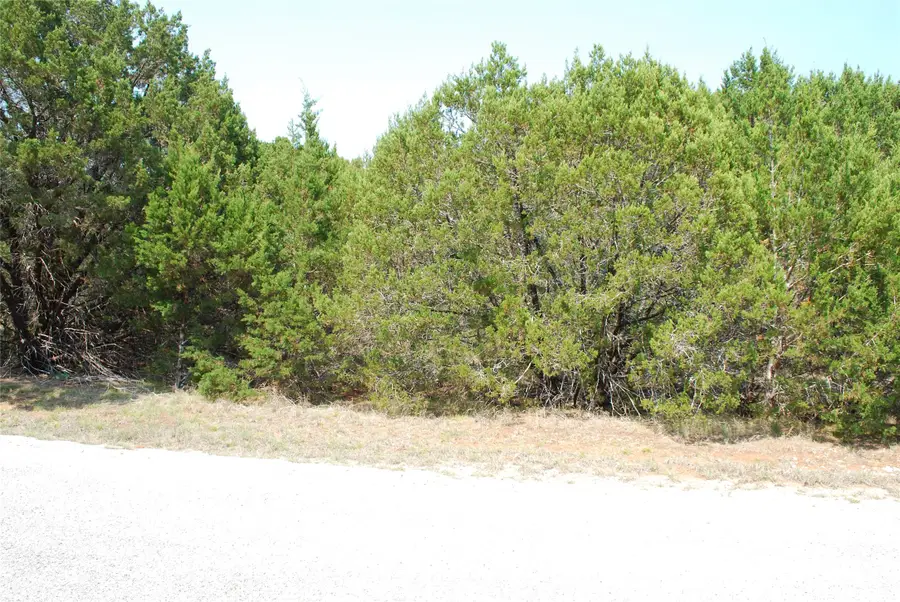 12101 Oak Dale Drive, Whitney, TX 76692 - #2