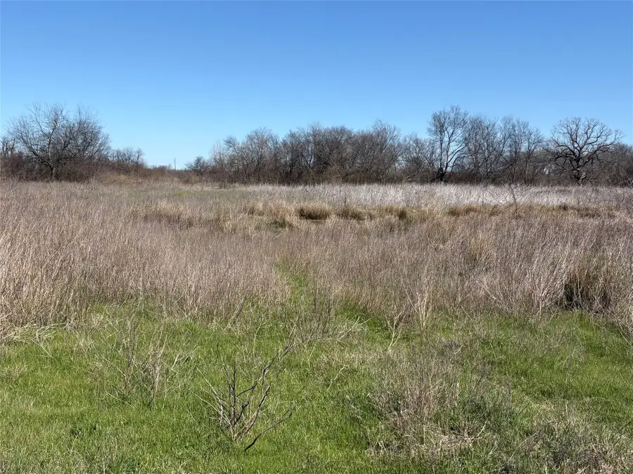 TDB County Road 3502, Sulphur Springs, TX 75482 - Image #2