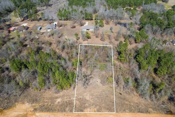 Lot 7 Piney Lane, Pittsburg, TX 75686