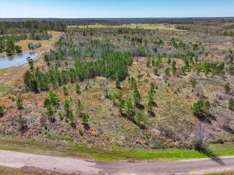 0000 Vz County Road 4702, Ben Wheeler, TX 75754 - Image #2