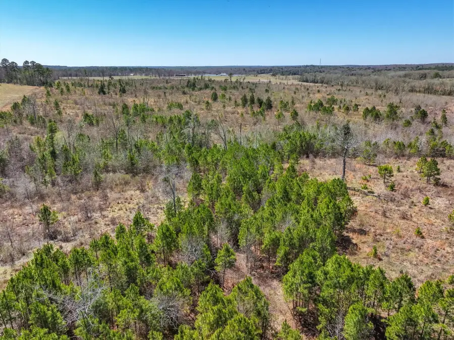 0000 Vz County Road 4702, Ben Wheeler, TX 75754 - Image #3