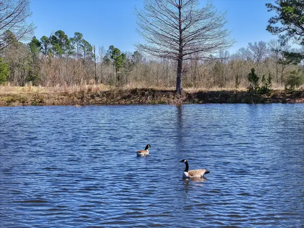 000 State Highway 64, Ben Wheeler, TX 75754