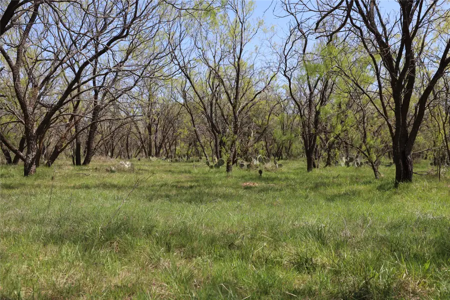 TBD Mitchel Hill Road, Gordon, TX 76453 - Image #2