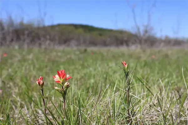 TBD Mitchell Hill Rd, Gordon, TX 76453