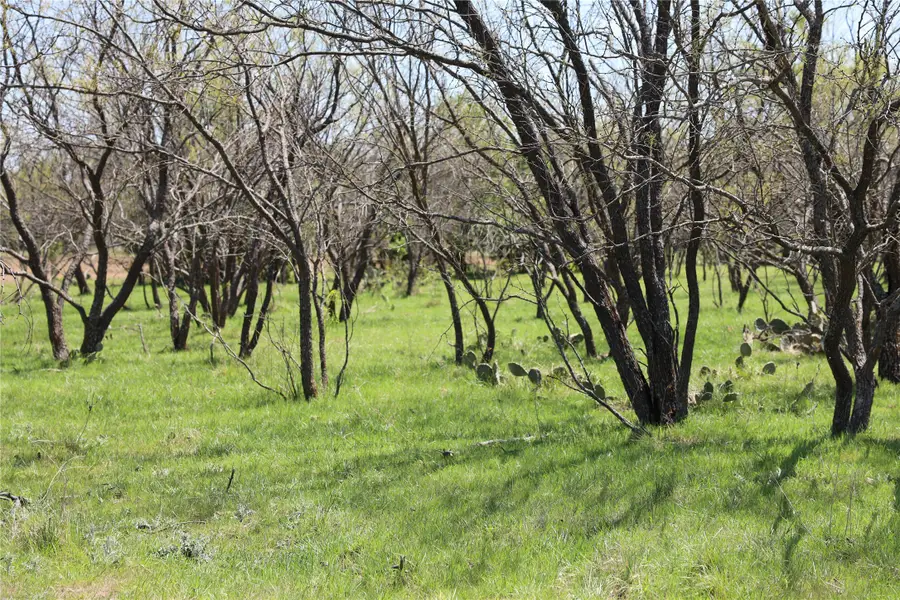 TBD Mitchell Hill Rd, Gordon, TX 76453 - Image #2