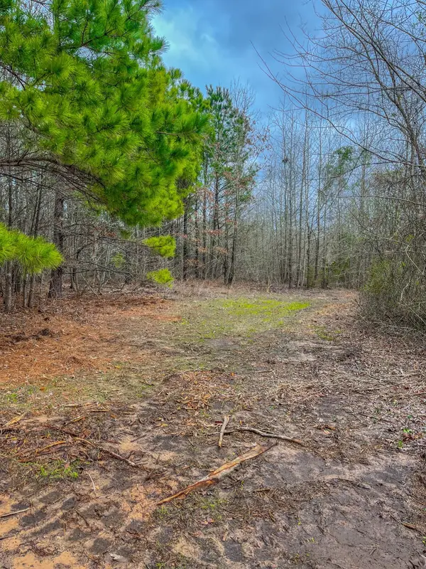 TBD Mistletoe Rd, Gilmer, TX 75644