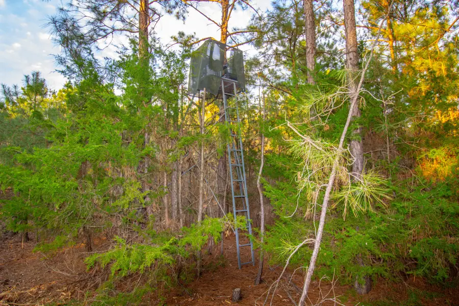 TBD Mistletoe Rd, Gilmer, TX 75644 - Image #2