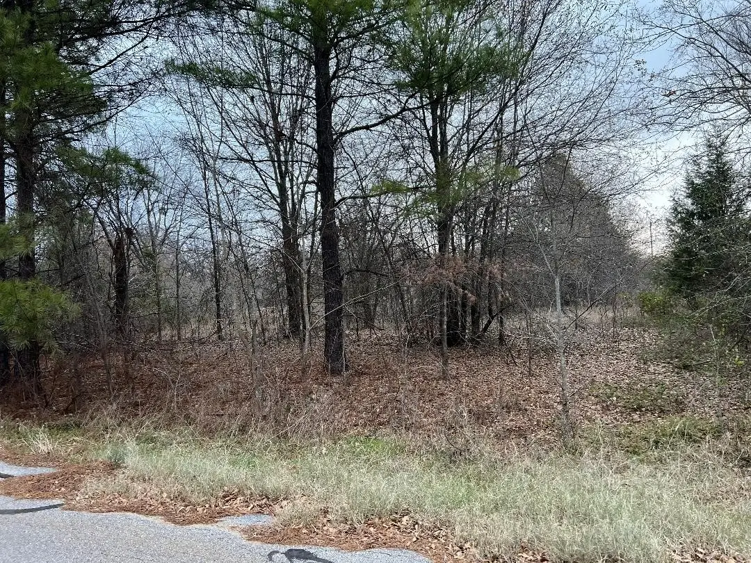 1153 Luzon Street, Tool, TX 75143 - Image #1