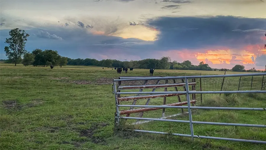 TBD County Road 26701, Petty, TX 75470 - Image #3