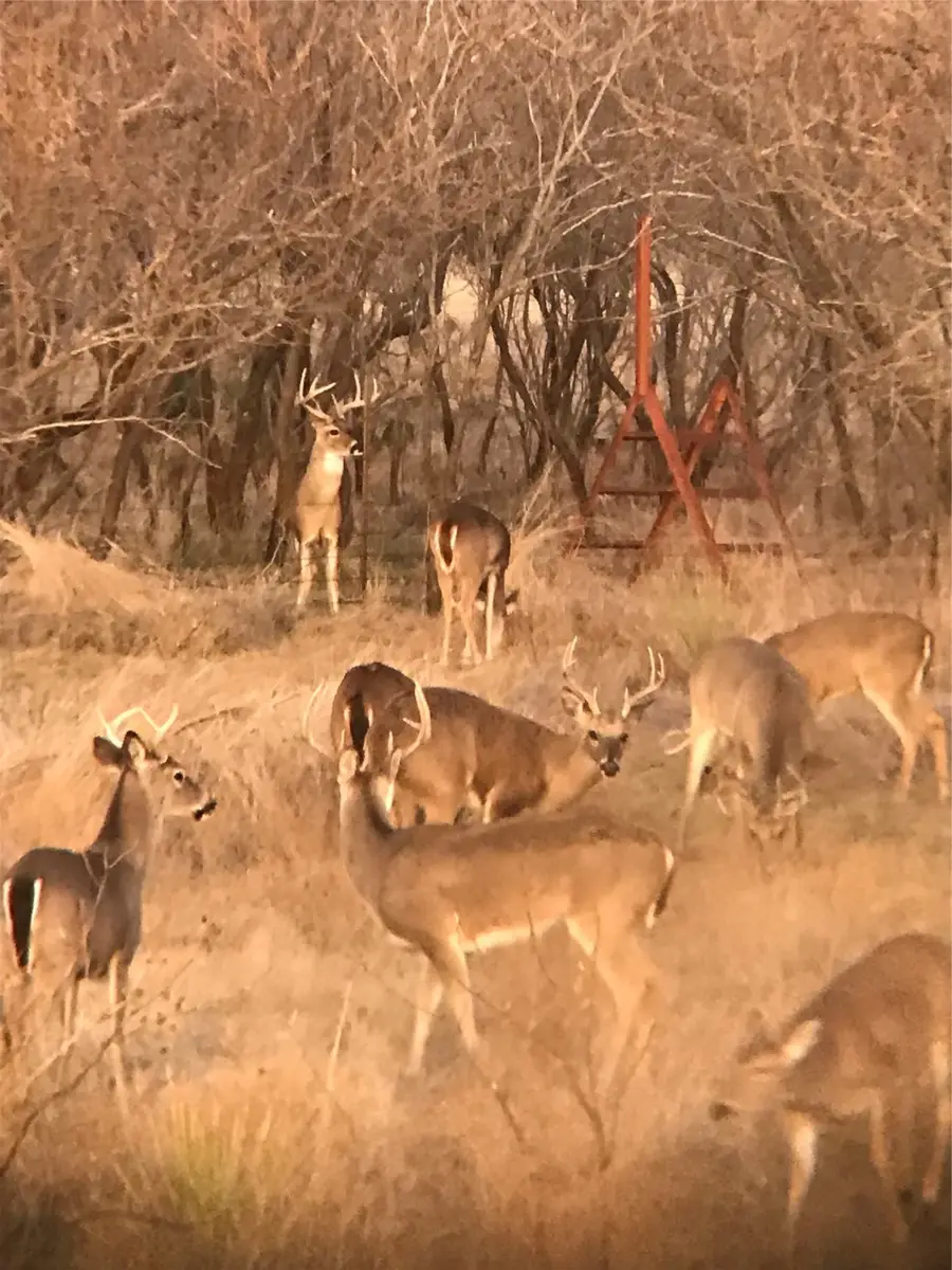 TBD E 67 Highway, Ballinger, TX 76882 - Image #3