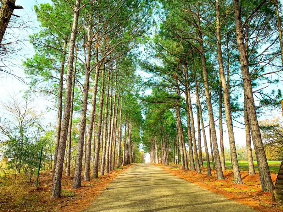 Lot 153-R Stonewall Drive, Streetman, TX 75859 - Image #3