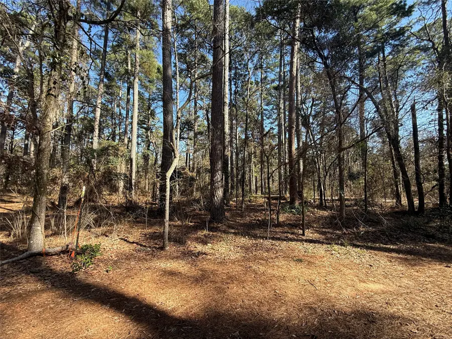 Lot 3 Private Road 8573, Winnsboro, TX 75494 - Image #2