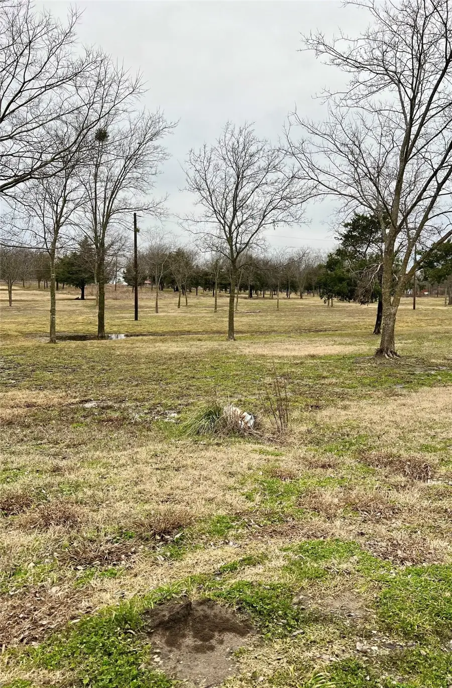 0000 Easy Street, Lone Oak, TX 75453 - Image #3