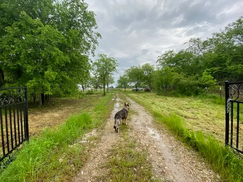 37444 State Highway 64, Wills Point, TX 75169 - Image #2