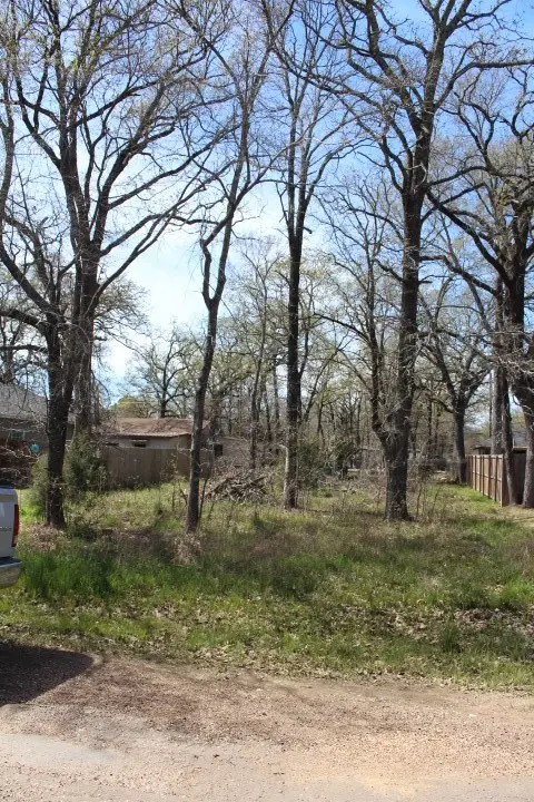 0 Woodland Trail, Gun Barrel City, TX 75156 - Image #1