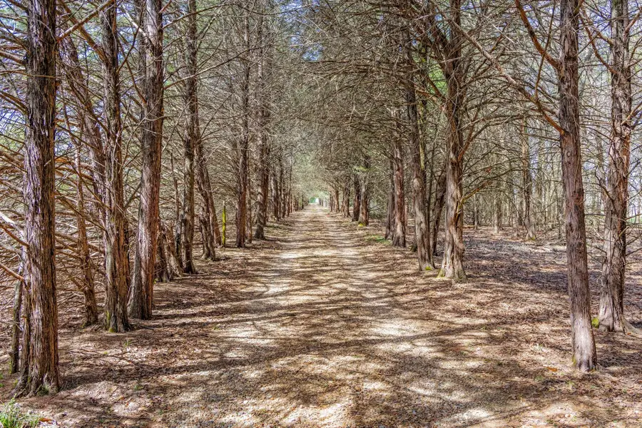 1393 County Road 2250, Ivanhoe, TX 75447 - Image #2