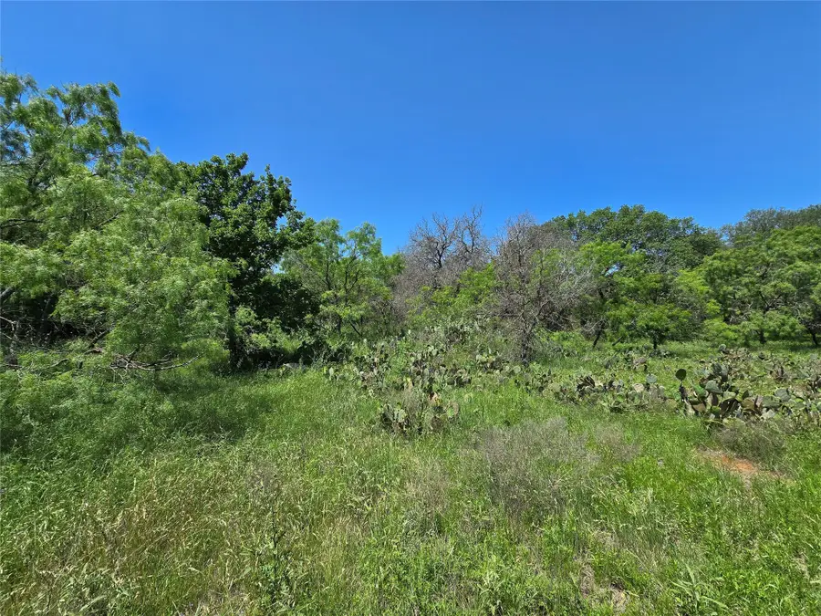 450 County Road 250, Gustine, TX 76455 - Image #2