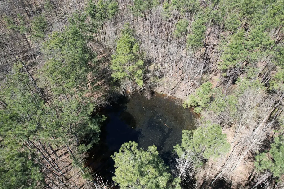 TBD Billy Ray Rd, Marshall, TX 75672 - Image #1