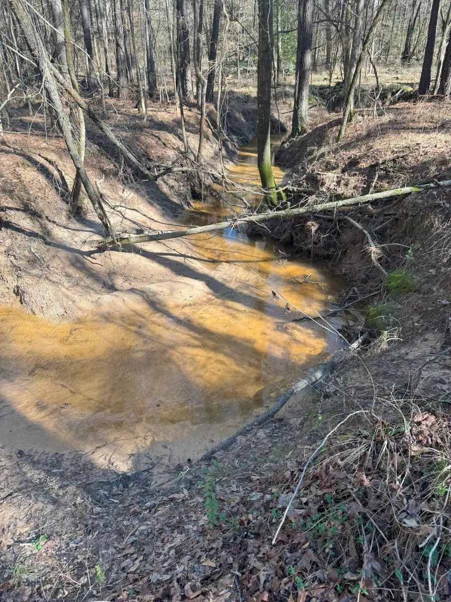 TBD Billy Ray Rd, Marshall, TX 75672 - Image #2